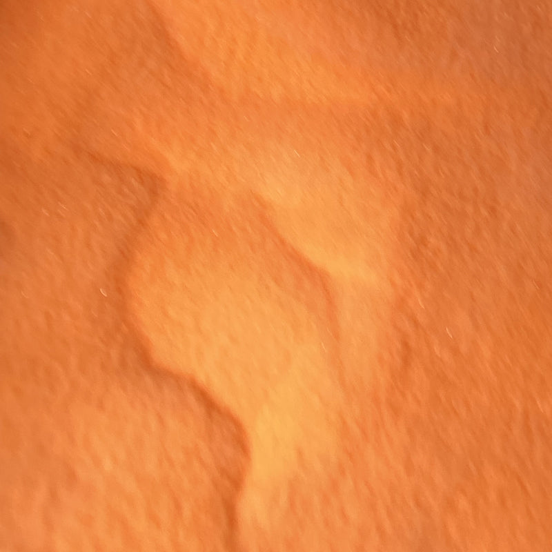 NAGAIA Smashed Pumpkin dip powder — orange nail color swatch