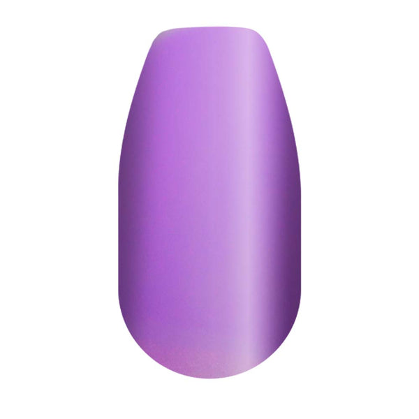 Purple Plush powder